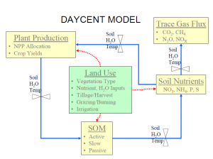 Figure 1 The flow diagram of the DAYCENT model. Figure is from presentation by Dr. Dennis Ojima.