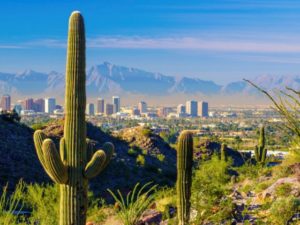 Phoenix skyline and cacti