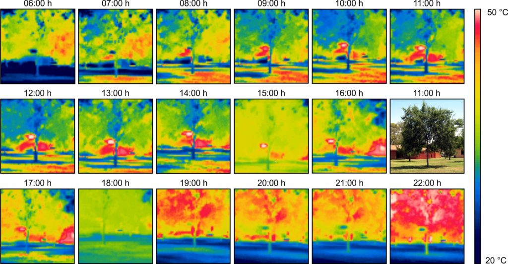 A2-3_Thermography_L8