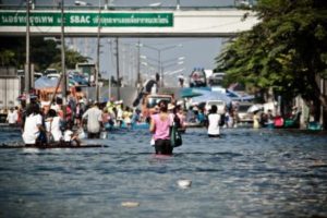 swimming in the flood